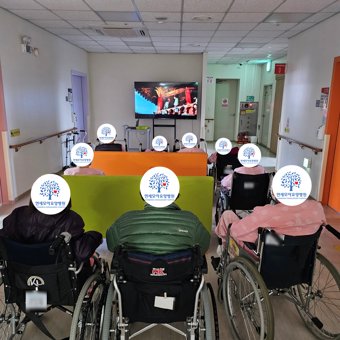 d13da65e05c79.png