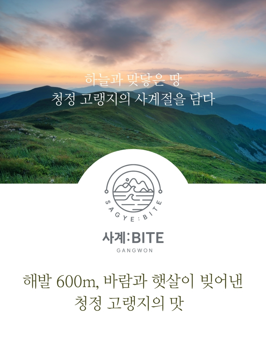 사계바이트 강원도 고랭지 시리즈 동결건조 당근 40g