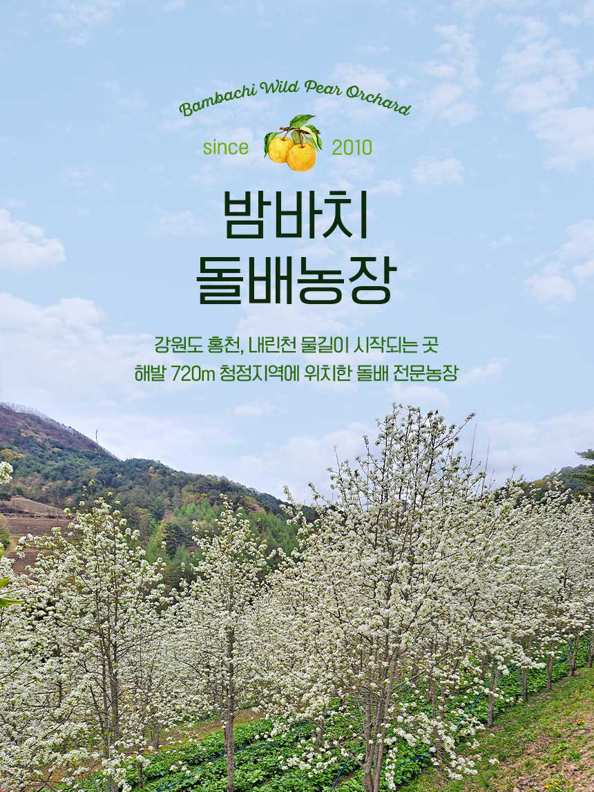 125f6a502f4a2.png