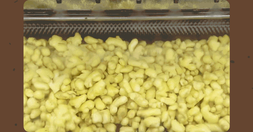 69c10be000c41.gif