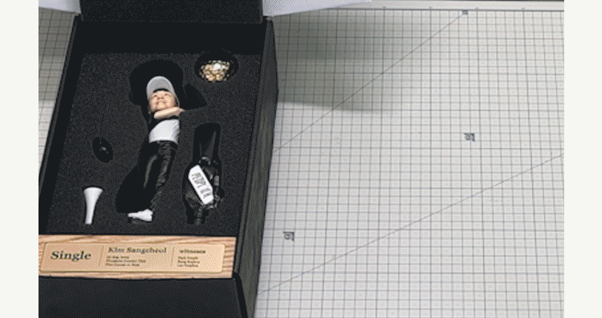 9c6d74c549912.gif