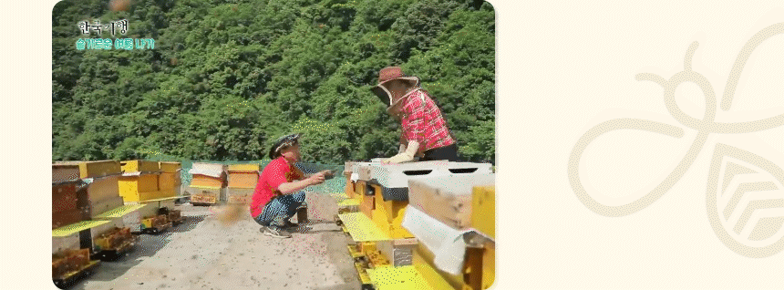 ce95df92d2f39.gif