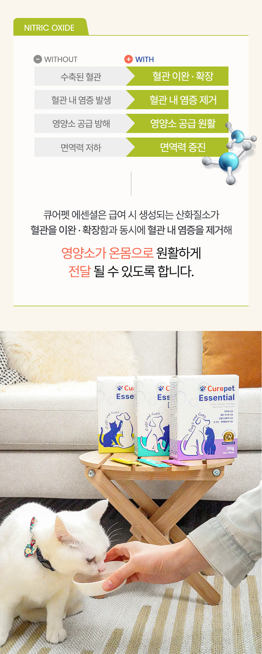 e155c465aed98.jpg