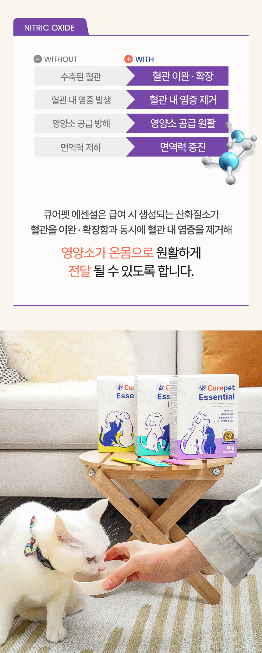 fda77fc02bd30.jpg