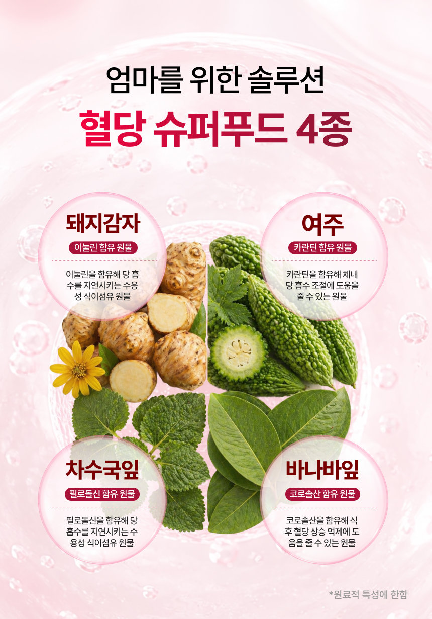 당당한 방패차 PET