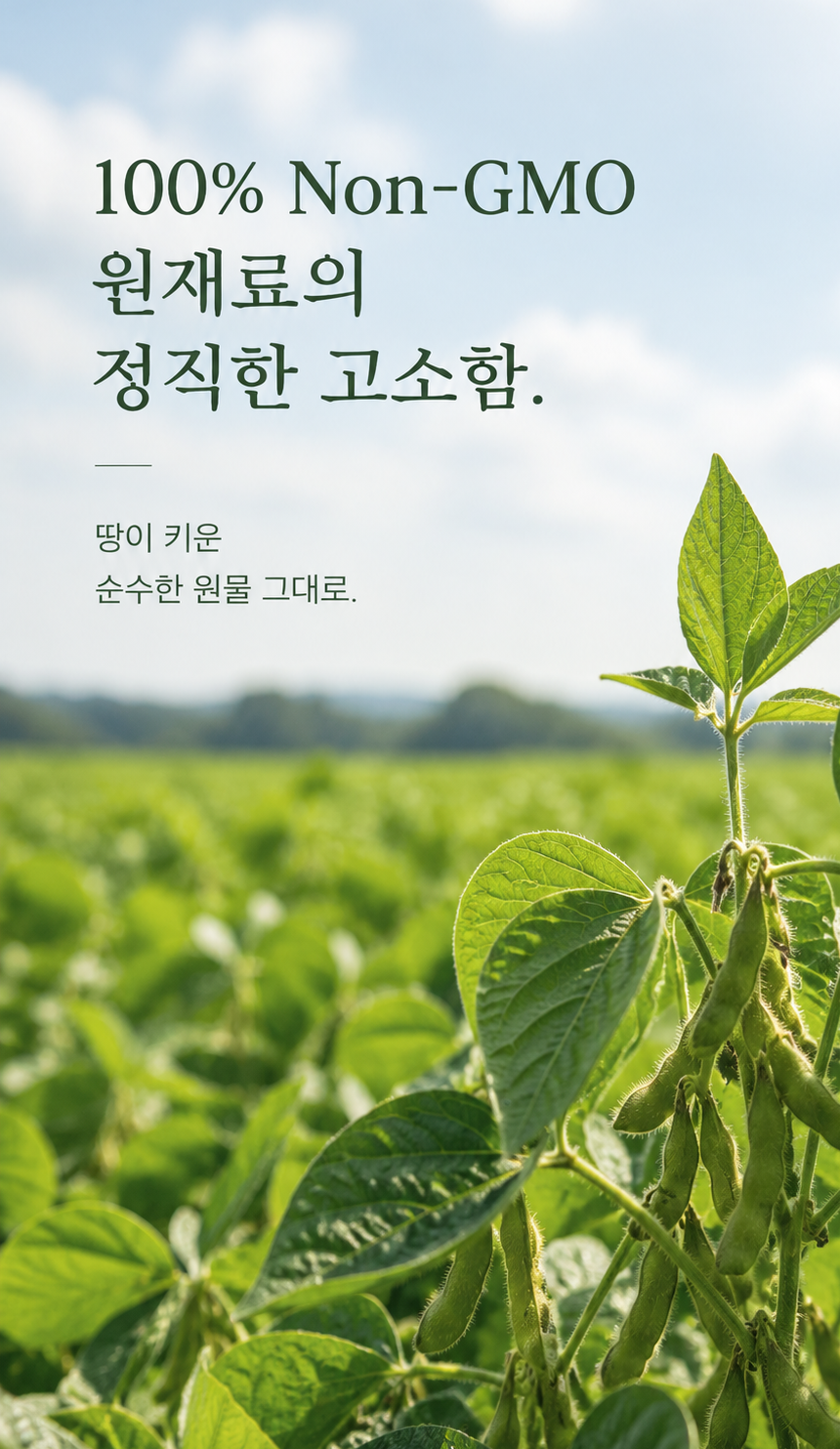 [예약구매][선착순특가] 고구마 왕실두유
