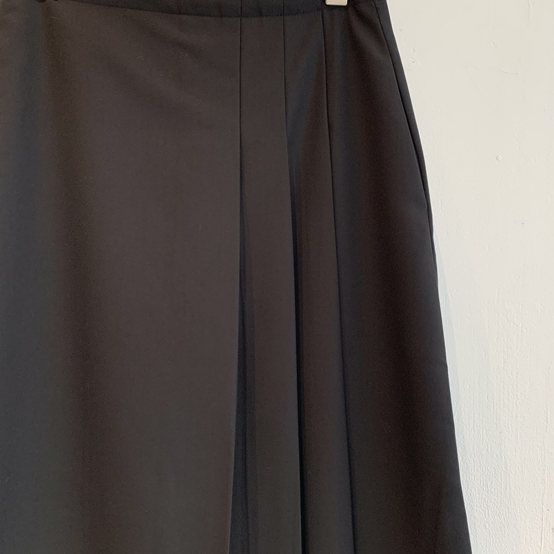 26FW Pleats MIDI SK *HQ (2COLOR)