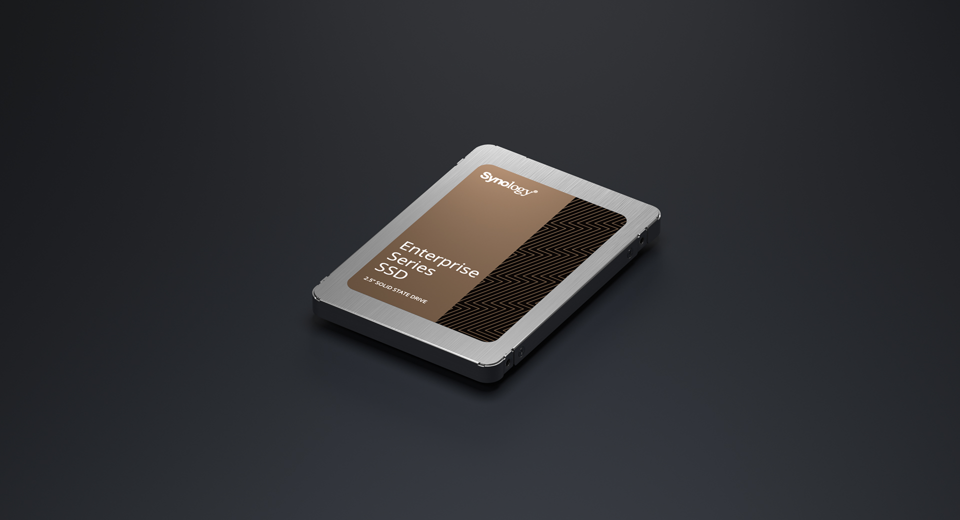 Synology Enterprise Series 2.5인치 SATA SSD 제품 이미지