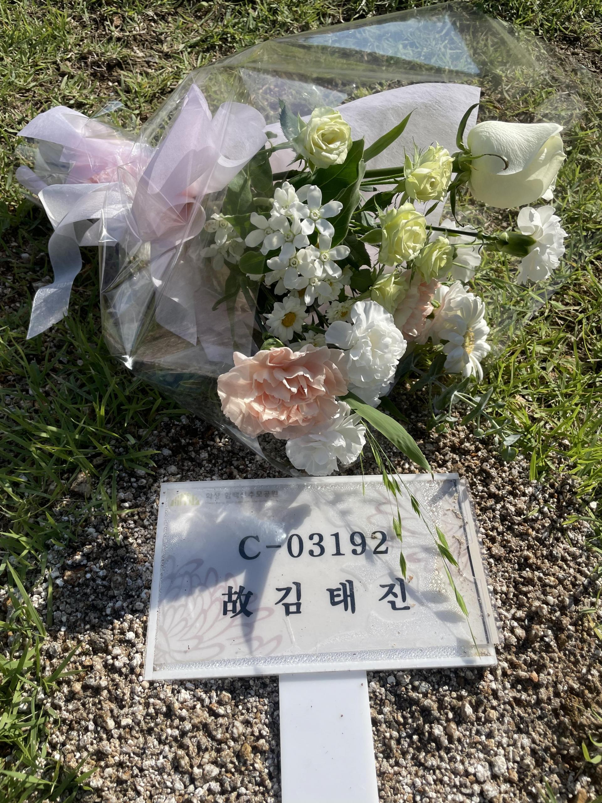 64b9354c27dfb.jpg