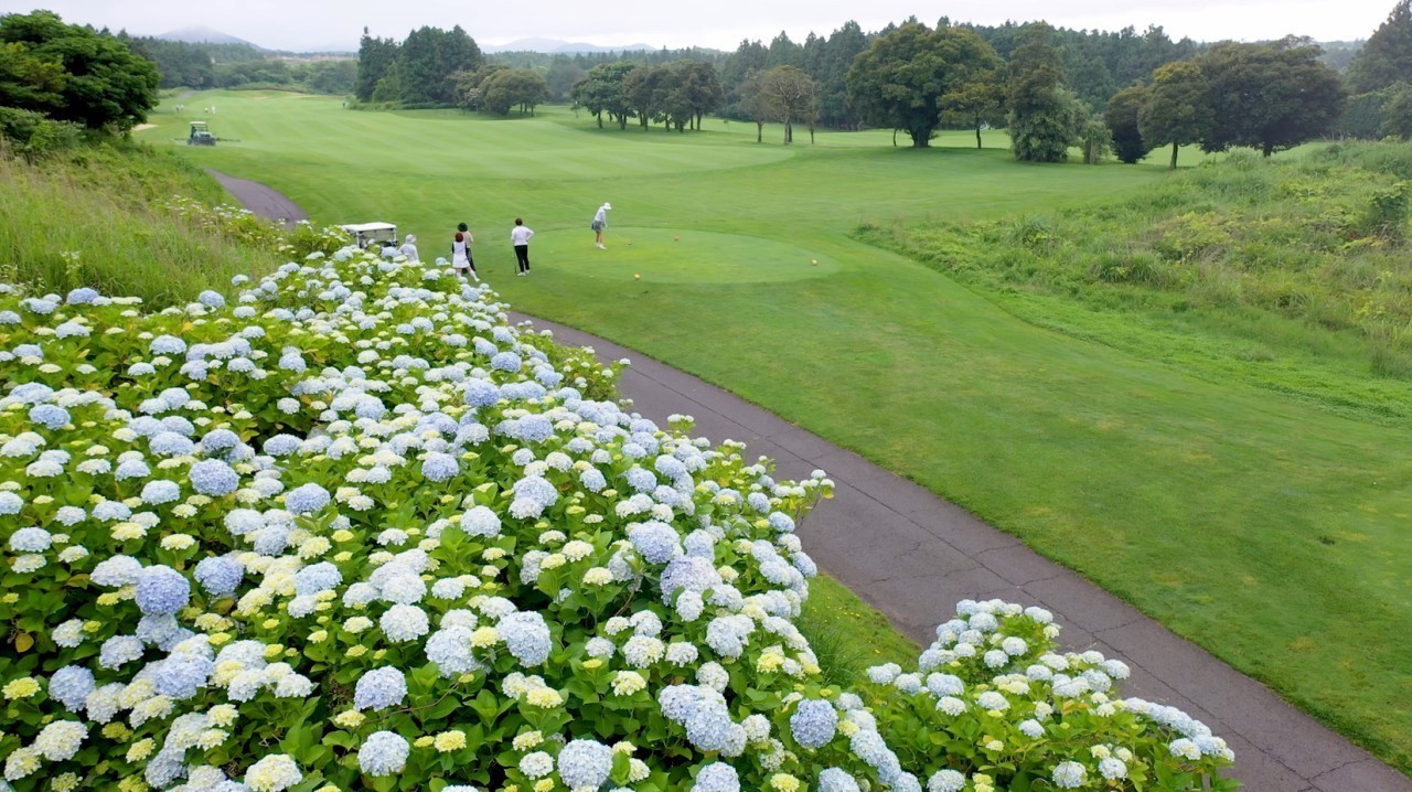⛳ 26년 9월 골프천국 동쪽 3색 제주골프 2박3일