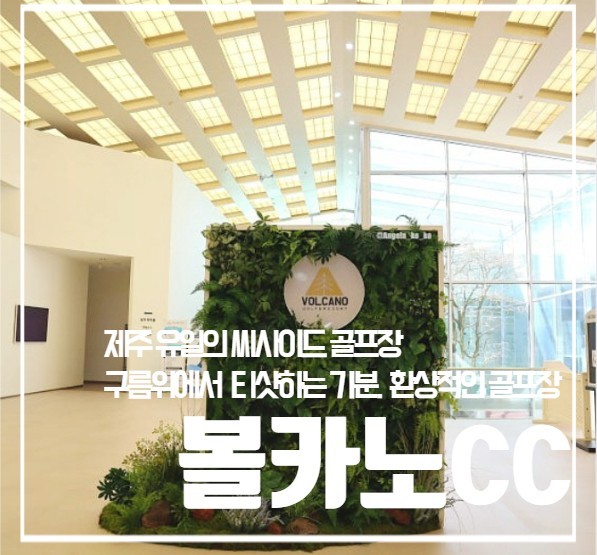 2026년 푸른제주, 특별한 당신 골프여행 2박3일 54홀 9월 PKG
