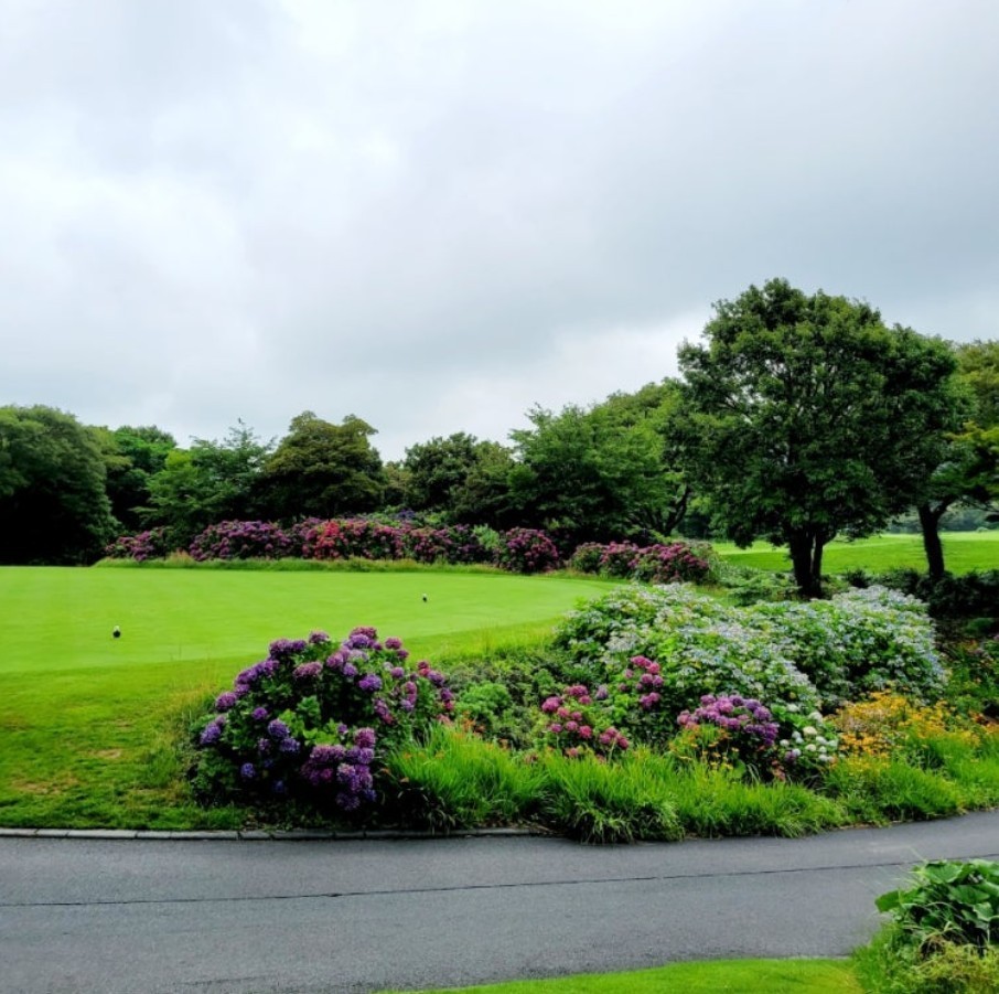 ⛳ 26년 10월 얼리버드 제주골프 BEST 2박 3일