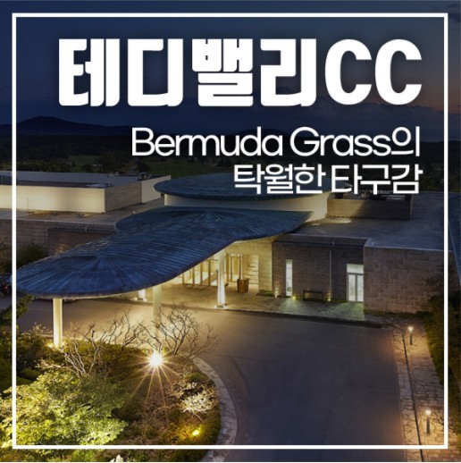 2026년 푸른제주, 특별한 당신 골프여행 2박3일 54홀 9월 PKG