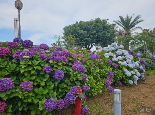 ⛳ 26년 10월 얼리버드 제주골프 BEST 2박 3일