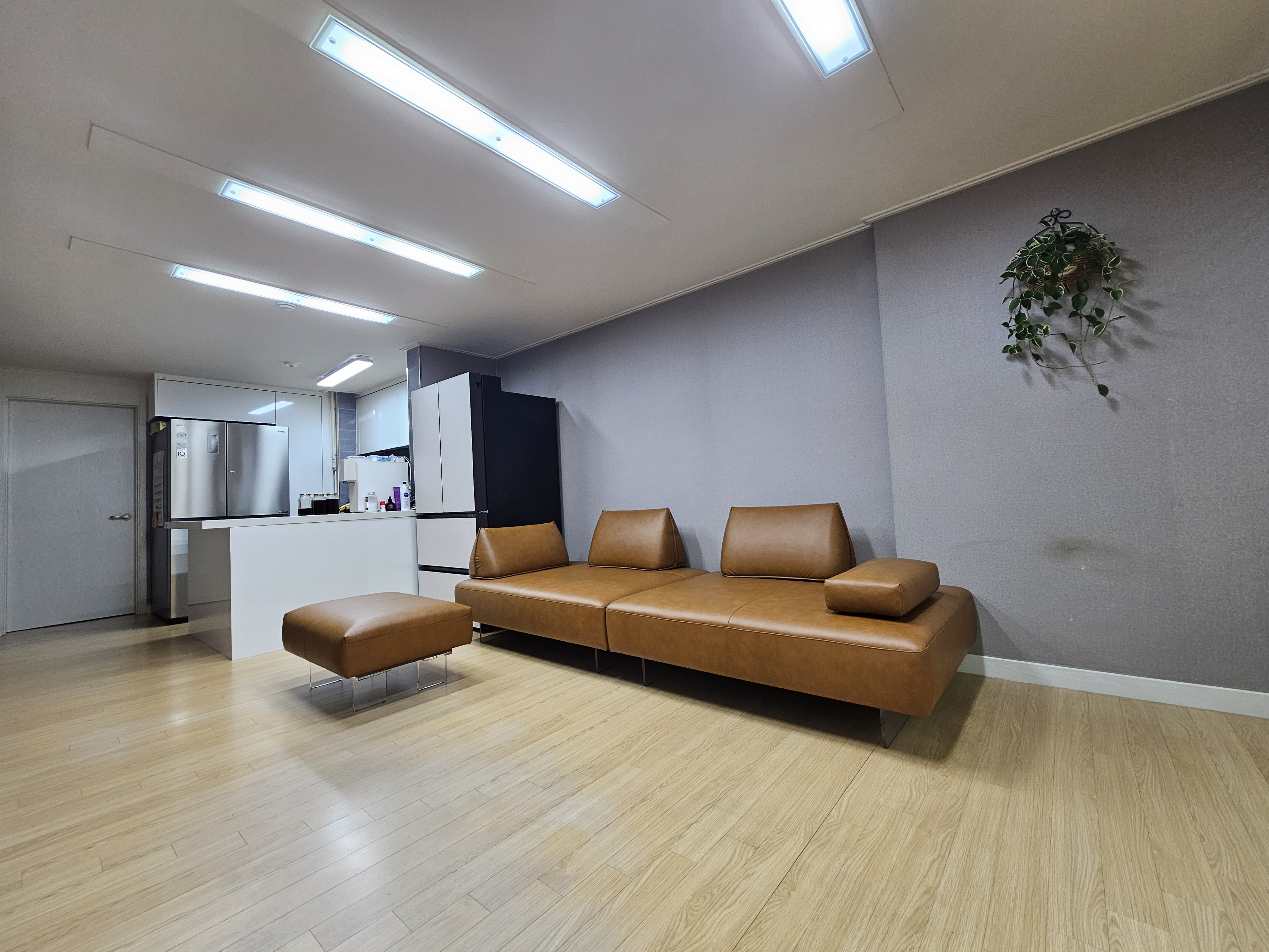 d541f456fe001.jpg