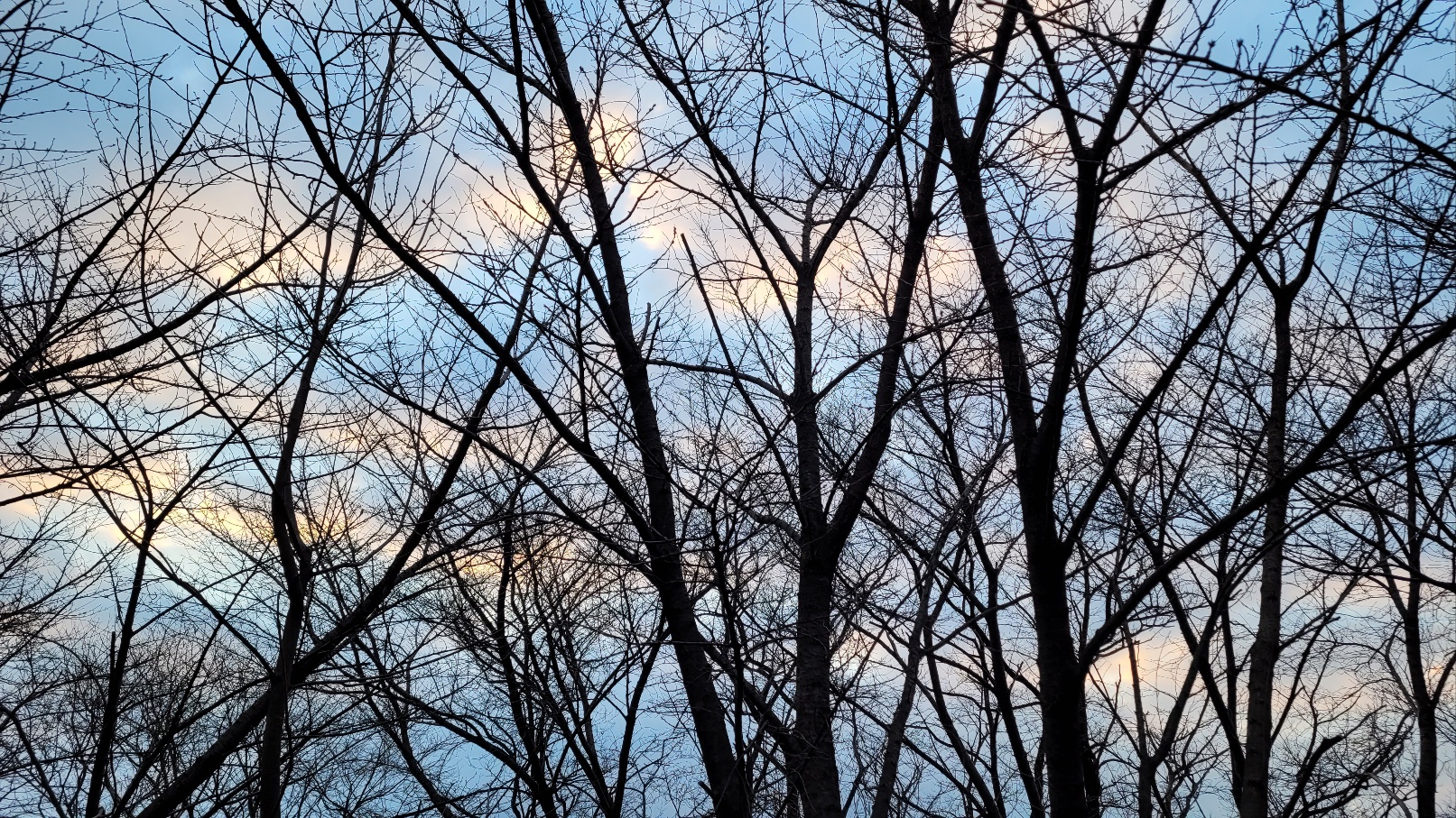 b7c2d0038f51e.jpg