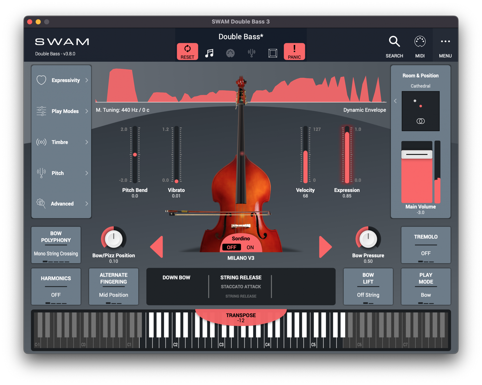 SWAM Double Bass interface