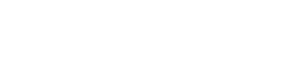 혼자 하는 어른