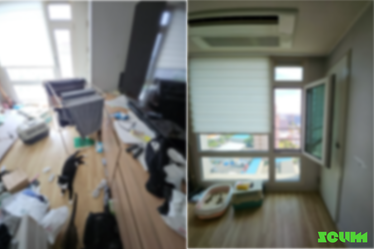 9a249d851461a.png