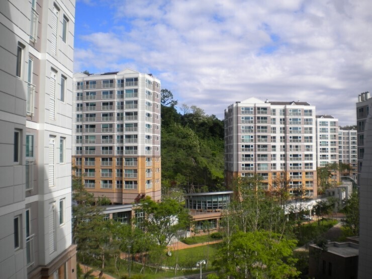 7e62e05f60402.jpg