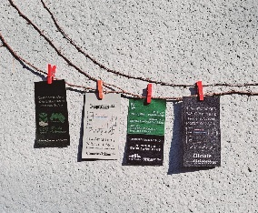 19209_1613622677.jpg