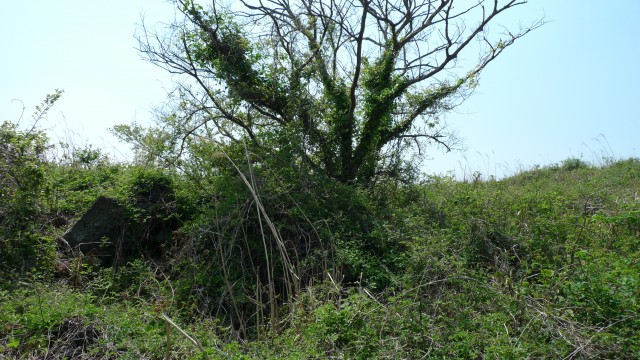 다랑쉬굴. 다랑쉬굴은 제주시 구좌읍 세화리에 위치한 길이 30m 인 용암동굴이다. 이곳은 4.3사건으로 피신해 있던 지역 주민 11명이 토벌대에 의해 희생된 현장으로 1992년 발견 당시 유골과 당시 동굴 내부에서 쓰였던 항아리, 가마솥, 질그릇,물허벅,요강 등의 생활용품과 낫, 곡괭이, 도끼 등의 농기구가 발견되었다. 토벌대는 굴 입구에 불을 피워 연기를 불어넣어 입구를 봉쇄했고 굴 속의 주민들은 연기에 질식되어 죽어갔다. 다랑쉬굴은 잃어버린 마을을 조사하던 ‘주제4.3연구소’회원들에 의해 1991년 12월 발견되어 1992년 4월 1일 공개했으며, 11구의 희생자 유해는 45일만인 5월 15일 한줌의 재로 바다에 뿌려졌다. 다랑쉬굴은 유해들이 밖으로 꺼내진 뒤, 나머지 유물들을 그대로 남긴 채 입구는 다시 콘크리트로 봉쇄되었다.ⓒ김은숙