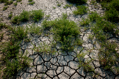 내몽고-알칼리호수-사막지역_에코피스아시아-제공