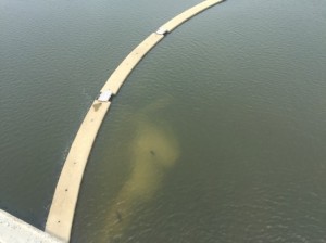 20150714_남한강 이포보 믈놀이장 침전물