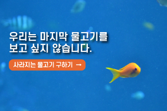 마지막물고기_배너.jpg