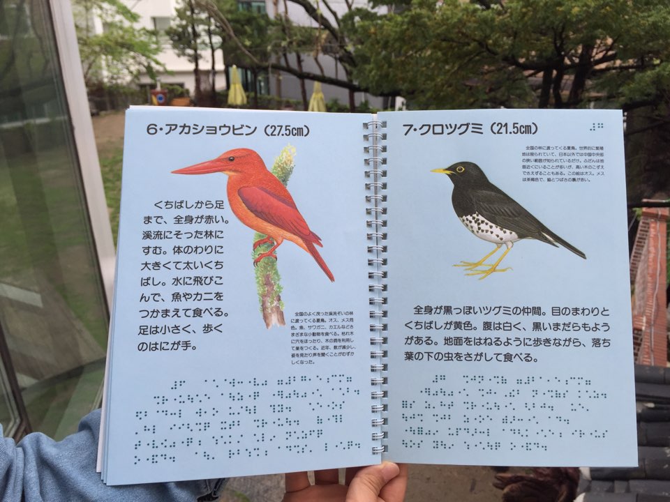 (일본사례)만지는 도감, 새, 1992, 일본야조협회 (2)