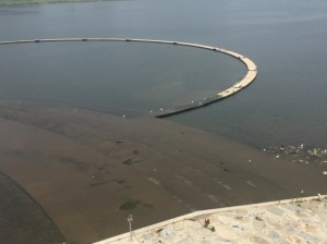 20150714_남한강 이포보 믈놀이장 이끼1