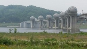 20150714_남한강 이포보 모래대신 잡초1