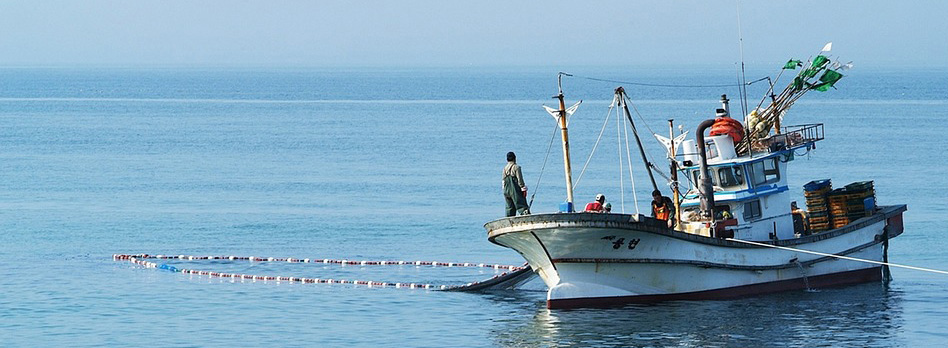 fisherman-3523615_960_720_2.jpg