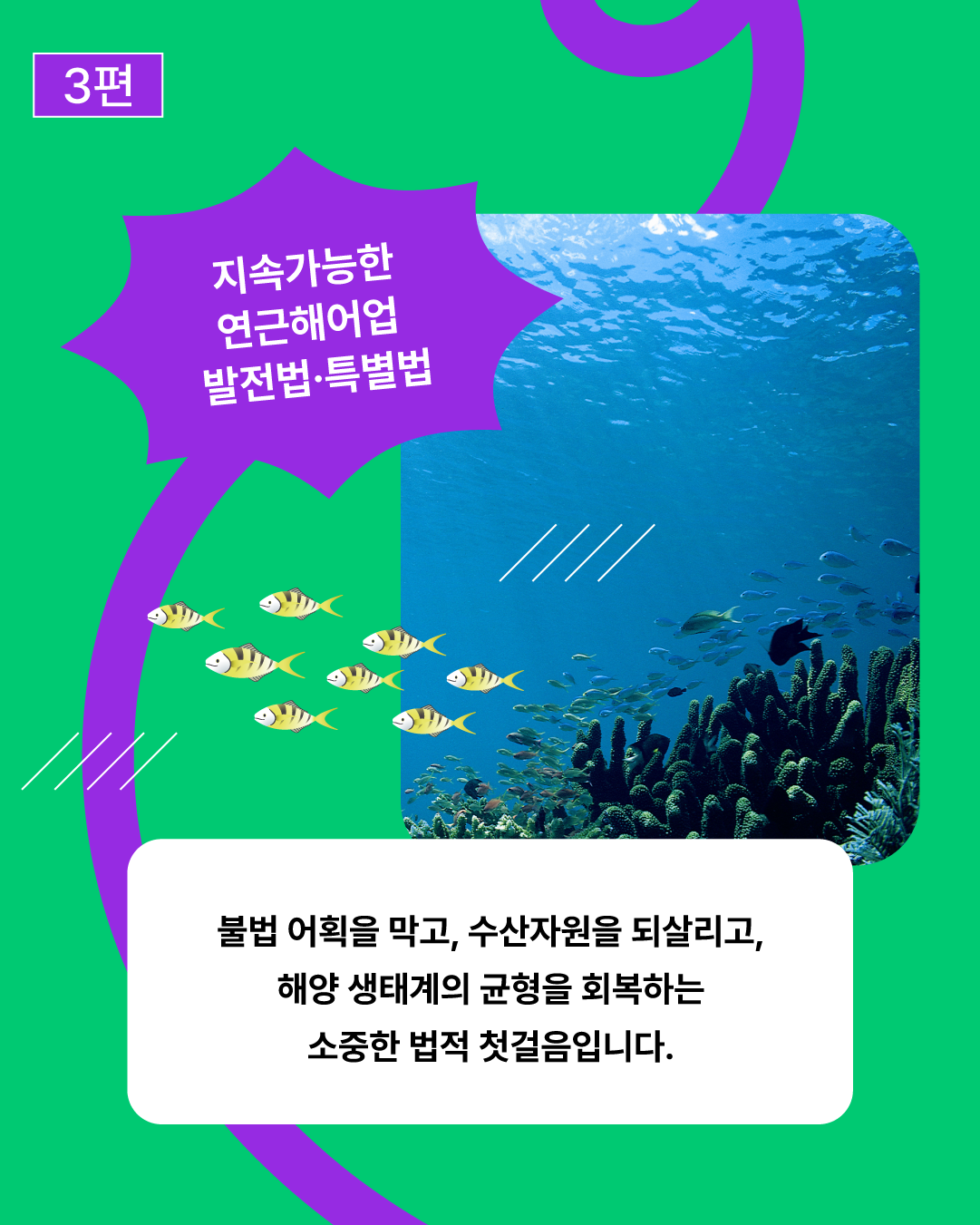 43b75d2412b1b.png