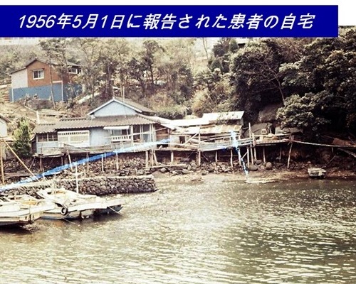 472b3783ae879.jpg