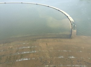 20150714_남한강 이포보 믈놀이장 이끼