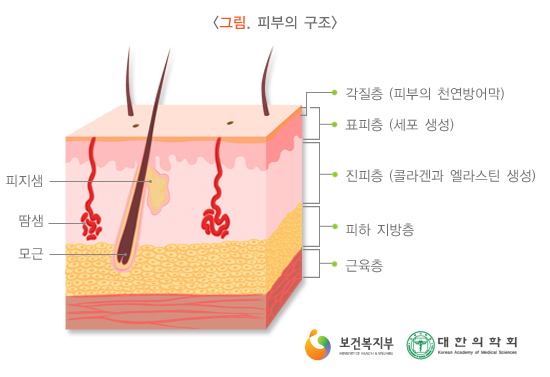 두피