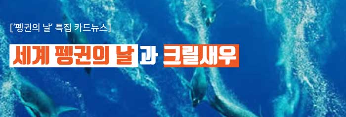 펭귄-카드뉴스-작업중.jpg
