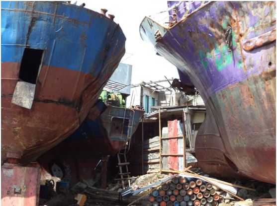 태풍 하이옌의 악몽에서 벗어나지 못한 필리핀, 그러나 희망은 싹트고 있다 5