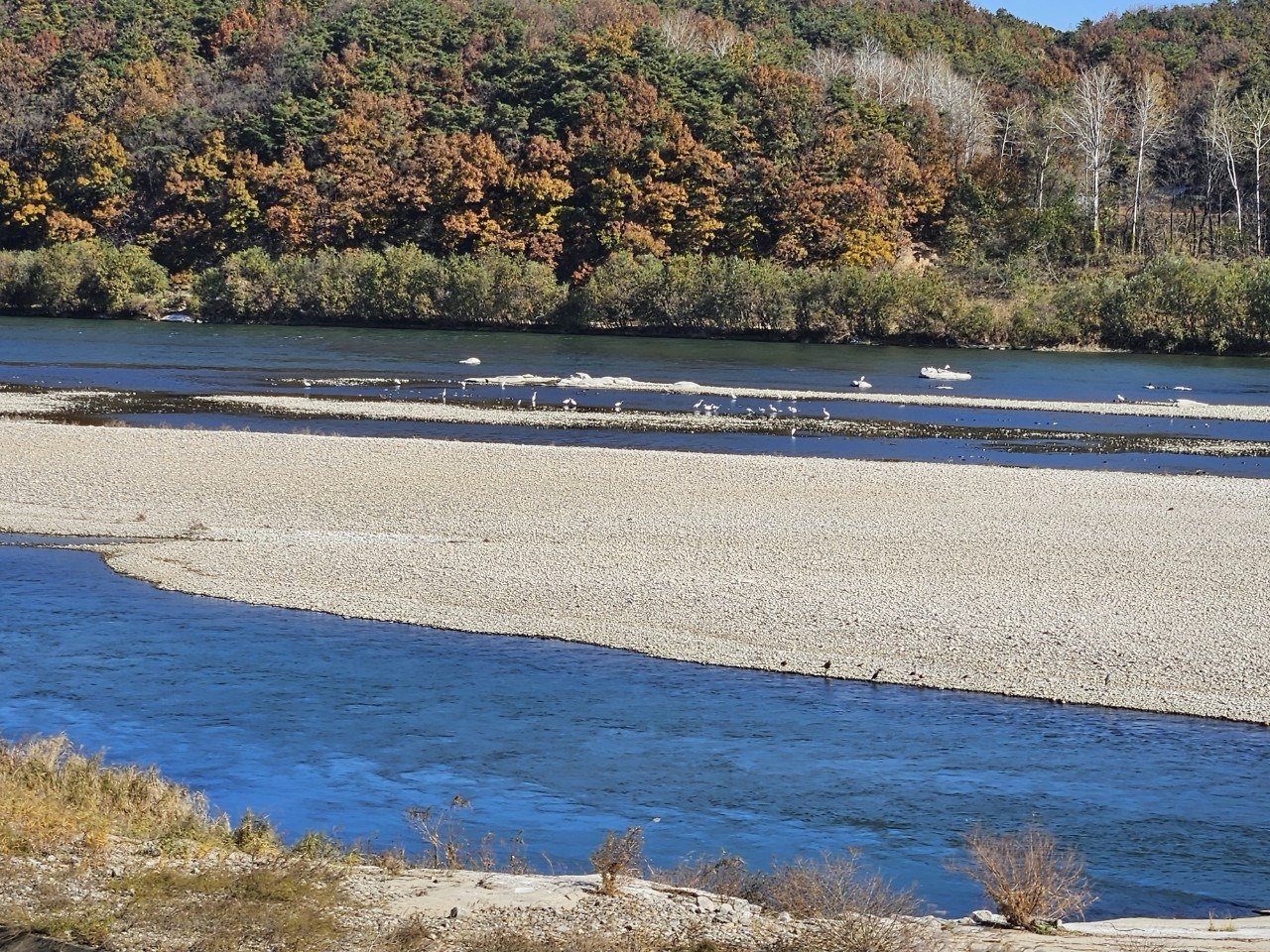 5e2568a4c8f70.jpg