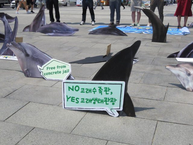 [바다의 날] 고래 유통 OUT, 무고한 돌고래 석방! : 환경운동연합