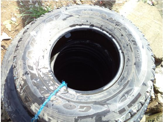 태풍 하이옌의 악몽에서 벗어나지 못한 필리핀, 그러나 희망은 싹트고 있다 2