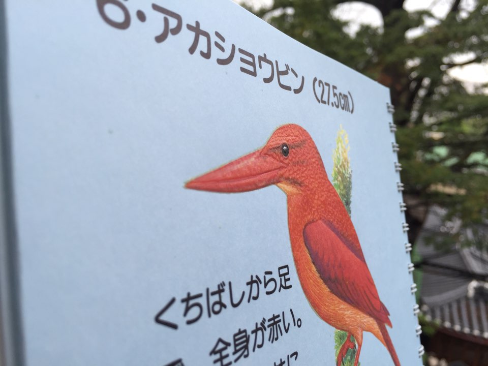 (일본사례)만지는 도감, 새, 1992, 일본야조협회 (1)