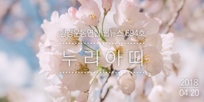 180420_nuri.jpg