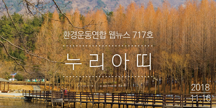 181116_nuri.jpg