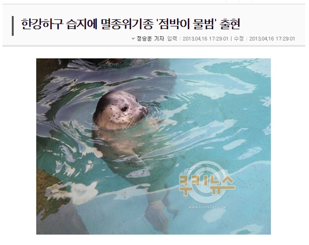 [ 처음 만난 한강 이야기 2 ] 한강에서 돌고래를 만날 수 있다면? : 환경운동연합
