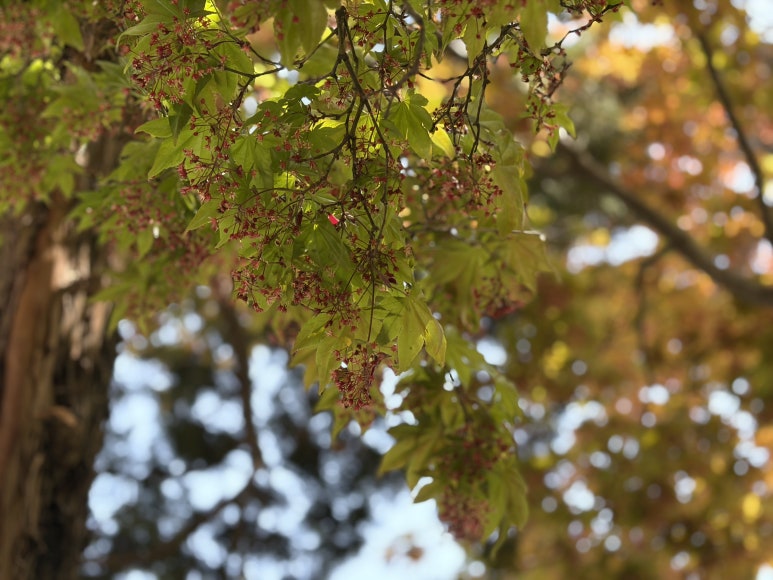 a6c2546291f7b.jpg