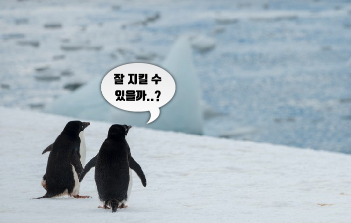 카드뉴스1-013.jpg