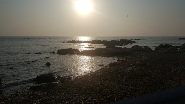 정수센터 앞에서 바라본 아침바다. 부산시가 해수담수화를 위해 바닷물을 끌어오는 취수장이 고리원전에서 불과 11km 떨어진 곳에 있다. Ⓒ환경운동연합