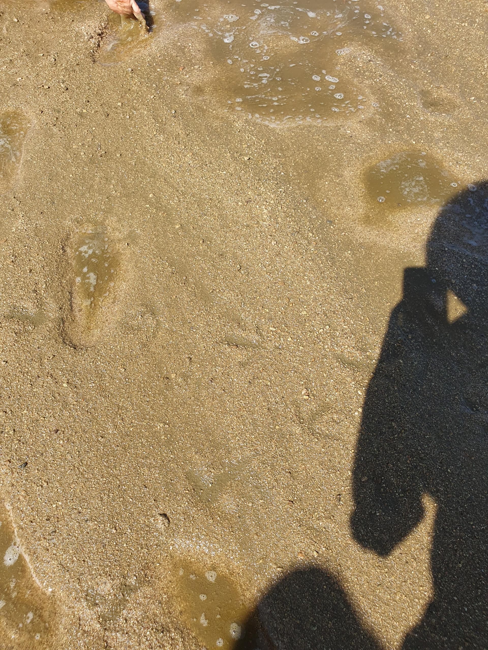 b3aba3694612b.jpg